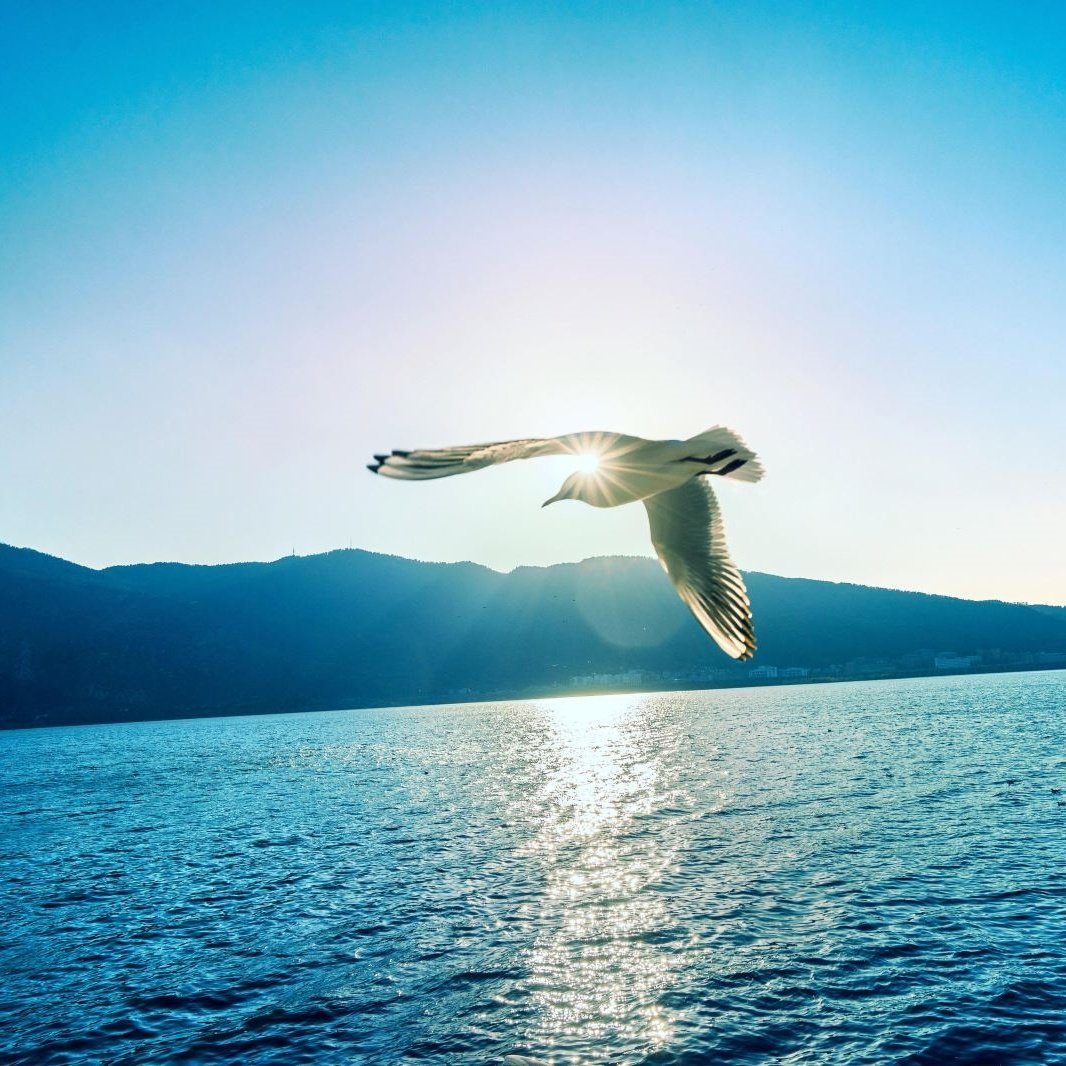 昆明一地5天4晚跟团游 云南省博物院-全季学府路酒店