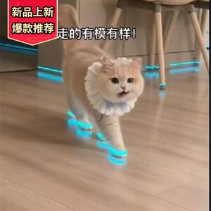 
Cat luminous shoes toy dog shoes pet baby shoes whistle whistle luminous children's toys accessories pet dog
