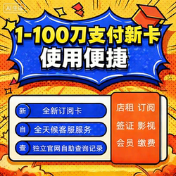 Virtual American Payment Card Amazon Monthly Subscription Hong Kong Europe Virtual Credit Card Binding Consumption Subscription Payment Card