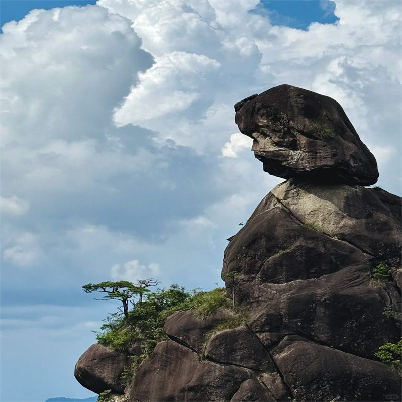 江西上饶三清山葛仙村万仙谷婺女洲5天4晚