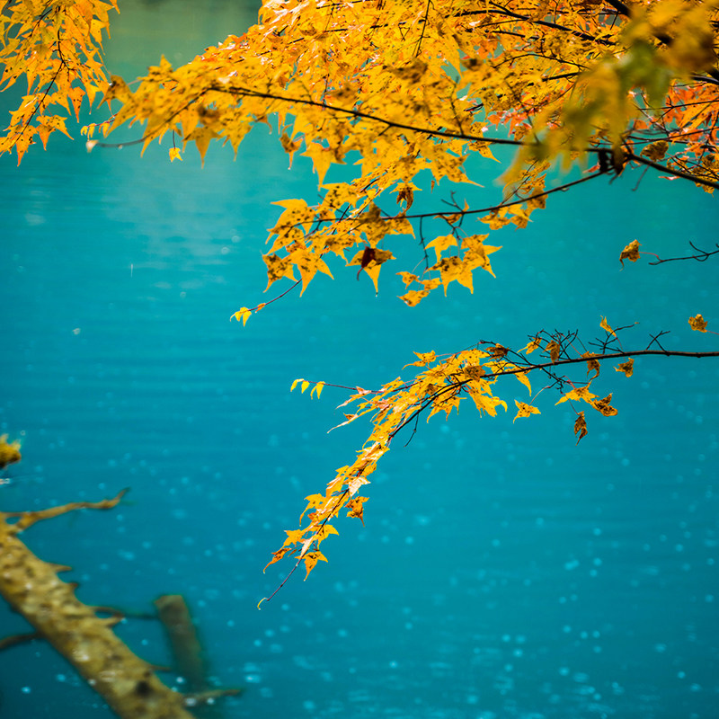 【纯玩小团】2-8人川西旅游九寨沟四姑娘山毕棚沟达古冰川5日