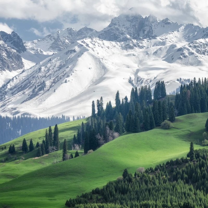 【遇见湖南】张家界自由行 天门山游玩 森林公园住希尔顿酒店