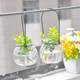 Hanging transparent glass vase small pumpkin hanging bottle simple hydroponic flower appliance indoor gardening home decoration bottle