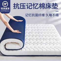 New Mattress Pad for Home Use, Tatami Mat, Mattress Pad for Dormitory Students, Single-Person Rental Apartment Special Pad