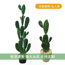 Large simulated potted cactus, artificial plant decoration, bonsai window landscaping, fake green plants, simulated cactus column