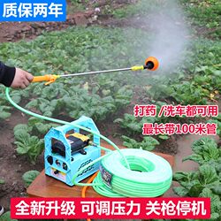 Agricultural Electric Sprayer, Portable Rechargeable Fruit Tree Sprayer, Water Pump, Car Washing Machine, High-Pressure Diaphragm Dual-Pump Machine