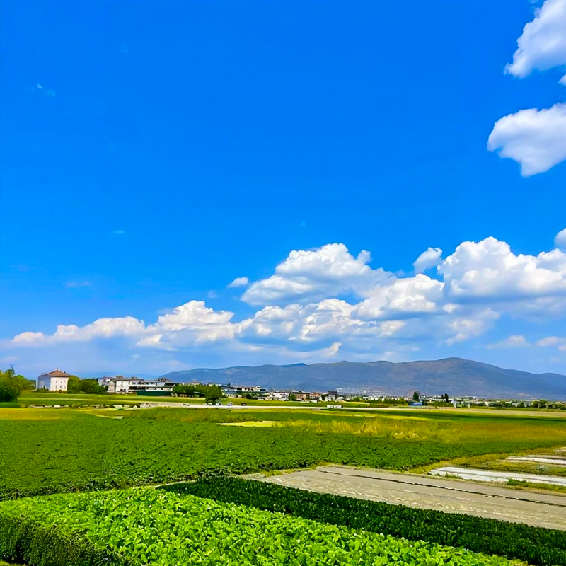 四钻酒店雪山索道洱海旅拍纯玩昆明大理丽江香格里拉泸沽湖跟团游