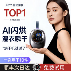 [Imported from the Uk] Dryer for Home Use to Dry Clothes 2026 New Model Portable Small Travel Essential