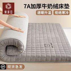 Sofia Thickened Milk Velvet Bed Sheet Home Mattress Soft Pad Coral Velvet Winter Warm Bed Mat