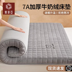 Sofia Winter Warm Milk Velvet Mattress Pad Thickened Mattress Topper Fleece Dormitory Mattress Cover