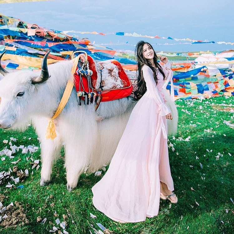 汽车出发河南洛阳2天1晚自由行