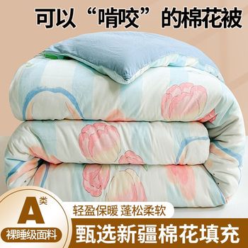 
Class A maternal and infant grade Xinjiang cotton quilt spring v autumn quilt core winter warm quilt long staple cotton single double quilt core