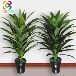 High-Quality Artificial Flowers, Simulated Brazilian Wood Dragon Blood Tree, Green Iron Plastic Potted Plants, Dancing Orchids, Home Green Plant Bonsai