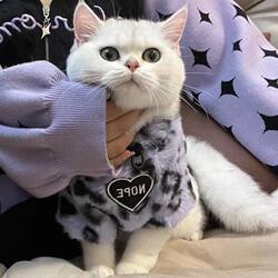 Super Cute Cat Clothes for Winter, Warm and Cold-Resistant, Furry Leopard Print, Fleece-Lined and Thickened, Small Dog Pet Fleece Jacket