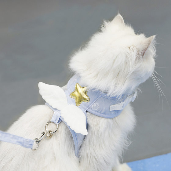 Angel wings Cat led a rope vest traction with dog kitten to go out to pull out of pet supplies

