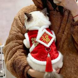 Cat New Year Clothes Winter Thickened Warm Vest 2026 New Model with Leash Attachment Pet Dog Clothes Festive