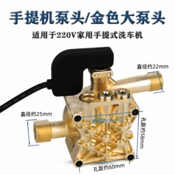 Suitable for Household High-Pressure Car Washing Machine Satchel Cleaning Machine Pump Head Car Washing Accessories 220V Car Brushing Water Pump