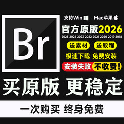 Br Software 2026-2017 Remote Package Installation Bridge2025 Chinese and English Versions Mac Download Win Original Version