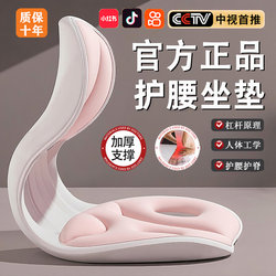 Official Genuine Lumbar Support for Prolonged Sitting, Ergonomic Support for Posture, Chair Backrest, Office Cushion, Car Driving