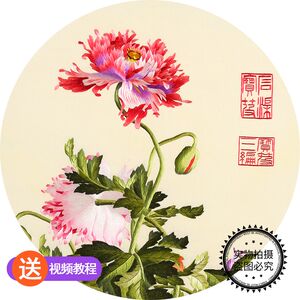 Su Embroidery Embroidery Handmade DIY Kit Self -Embroidered Material Pack Primary School Ancient Embroidered Entry Capital Shin Shining Flower Bird