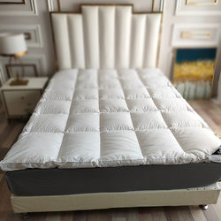 Hotel-Style Thickened Mattress Tatami 10cm Pad Feather Velvet Rental Home Use Adjustable Size Double Bed