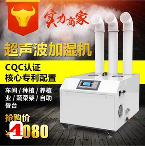 
Duolexin Industrial Textile Workshop Humidifier Vegetable Fresh Planting and Breeding Farm Buffet Hot Pot Humidifier