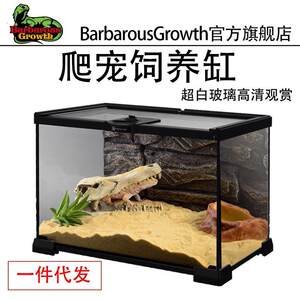 Crawling pet glass tank can stack lizards, palace guards, beetles, spiders, rainforest landscaping, breeding tank, viewing tank