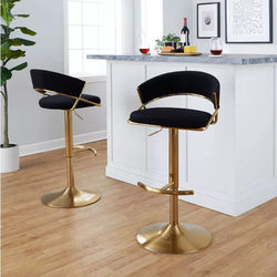 Light Luxury Adjustable Bar Stool High Stool Modern Simple Swivel Backrest Bar Stool Home Bar Front Desk Bar Chair