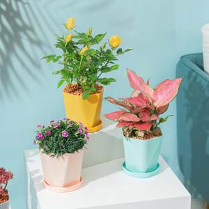 
Balcony household plastic flower pot tabletop northern simple white thickened large and small potted succulents household organizing tools