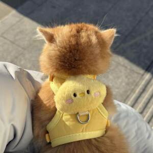 
Cat leash prevents breaking and going out for special vest type anti-lost I-shaped straps for walking cats and dogs