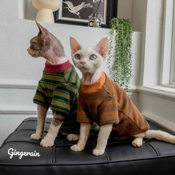 Pet German Shorthair Cat Clothes Spring and Autumn Thin Style Striped Round Neck T-Shirt Basic Model for Ragdoll Cats and Hairless Cats