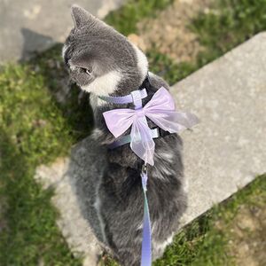Cat traction rope defense breaks out of special artifacts for special artifacts to walk cat ropes, rabbits, dog chain adjustable pet supplies
