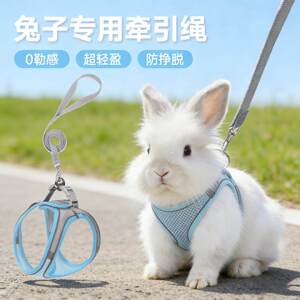 
Rabbit leash for walking rabbits, special anti-breakaway pet Angora dwarf outdoor harness supplies, summer breathable