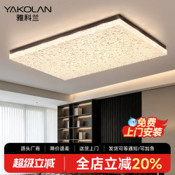 Yakelan Italian-Style Minimalist Living Room Lamp, Light Luxury and High-End Resin Living Room Main Lamp, 2026 New Model Living Room Ceiling Lamp