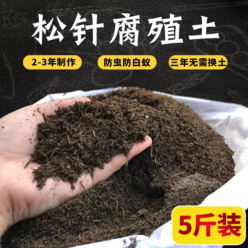 鬆針土君子蘭腐葉土黃金葛蘭花土文竹蘆薈腐殖土種