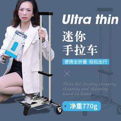 Foldable Portable Handcart Mini Shopping Cart for Groceries, Household Goods, and Luggage Transport