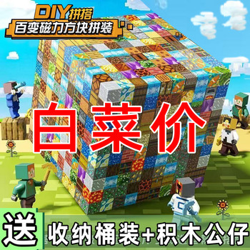 Minecraft Magnetic Block Magnetic Sucking