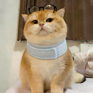 宠物护颈脖圈术后防舔伤口猫头套伊丽莎白圈保护颈椎支撑脖子项圈