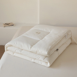 Shanhai Yixin Class a 100% Cotton 30% Soybean Mattress Xinjiang Raw Cotton Thickened Warm Non-Slip Pad Skin-Friendly