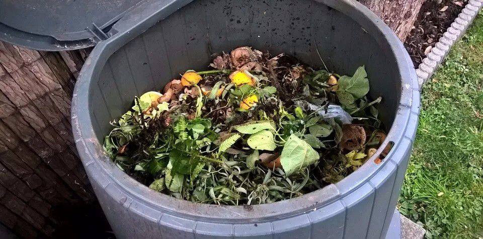 用垃圾桶在家做有机堆肥,用这方法没臭味 - 美优享 - 美丽优品分享好