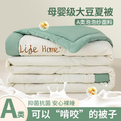 Soybean Summer Quilt, Air-Conditioning Quilt, Thin Summer Quilt for Single Person, Machine Washable, Pure Cotton, All-Cotton, Spring and Autumn Quilt, Suitable for All Seasons