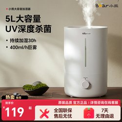 Bear-Shaped Humidifier for Bedroom, Home Use, Quiet, Suitable for Pregnant Women and Babies, Large Mist Output, Air Purification, Office Desk, Heating Room