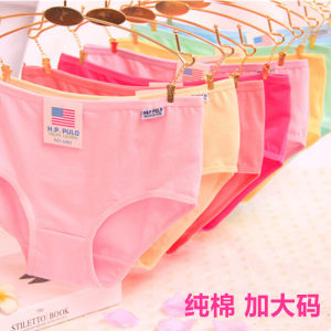 10 packed underwear Ms. Modal Model mid -low waist sexy lace comfort 100%whole cotton pants head