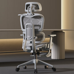 Ergonomic Chair, Home Computer Chair, Comfortable for Long Sitting, Waist-Protecting Office Chair, Reclining Gaming Chair, Backrest Chair, Swivel Chair