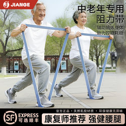 Elastic Band for Middle-Aged and Elderly People, Resistance Band, Strength Training, Rehabilitation, Leg Training, Tension Rope, Yoga, Ankle Exercise, Blood Sugar Control