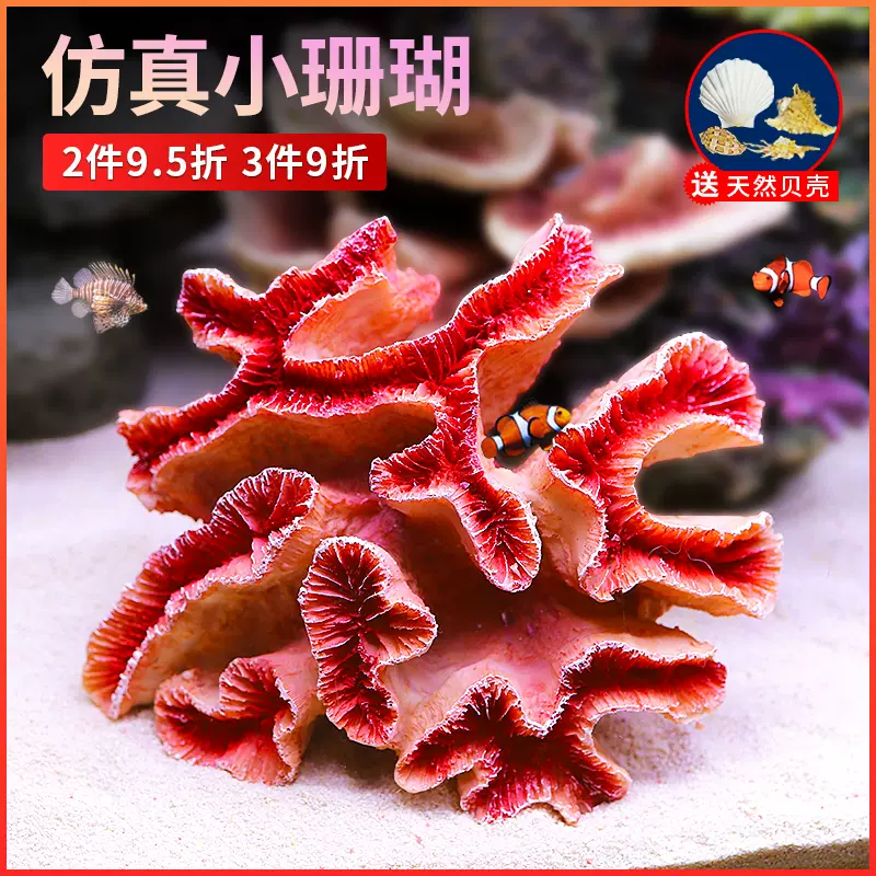 白珊瑚 サンゴ 置物 インテリア ケース入り オブジェ 貝 貝殻