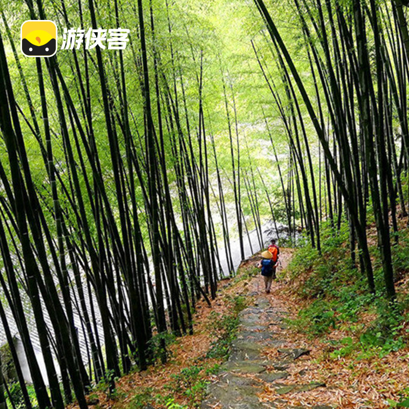 游侠客烧饼古道2天1晚跟团游徒步岩下村+百丈岩丽水台州旅游