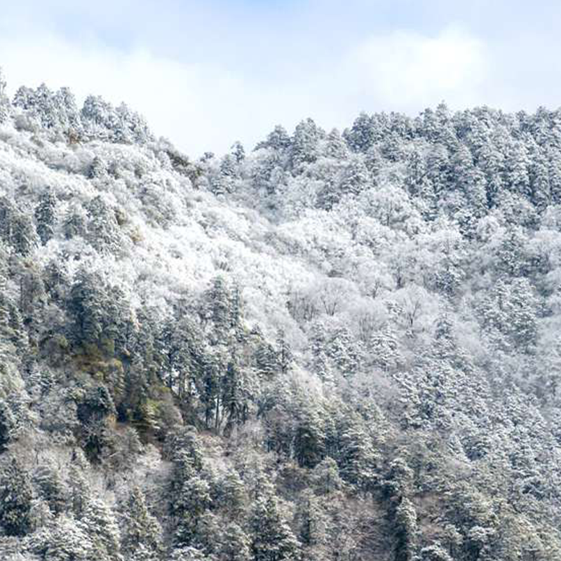 游侠客卧龙云中岭一日跟团游户外徒步 雾凇雪景云中牧场 成都往返