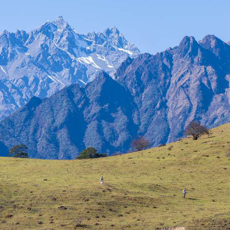 游侠客卧龙云中岭一日跟团游户外徒步 雾凇雪景云中牧场 成都往返