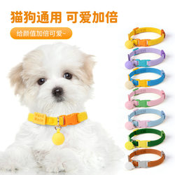 Hot-Selling Pet Collars, Elastic and Adjustable Dog Collars, Decorative Cat Necklaces, Cross-Border Pet Supplies